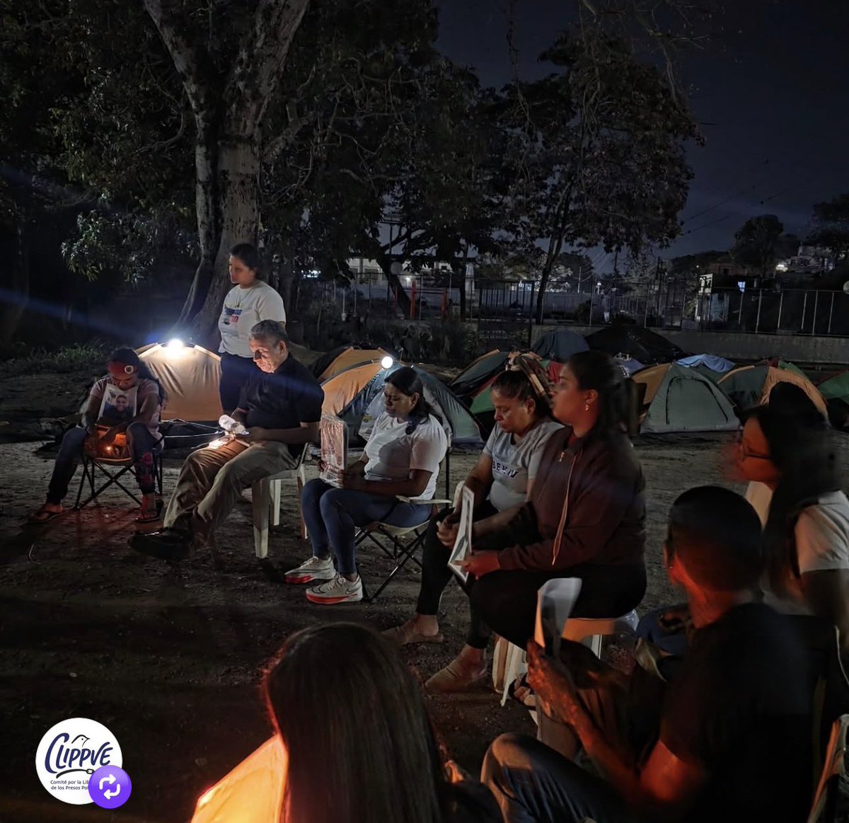 freddyzur tweet media