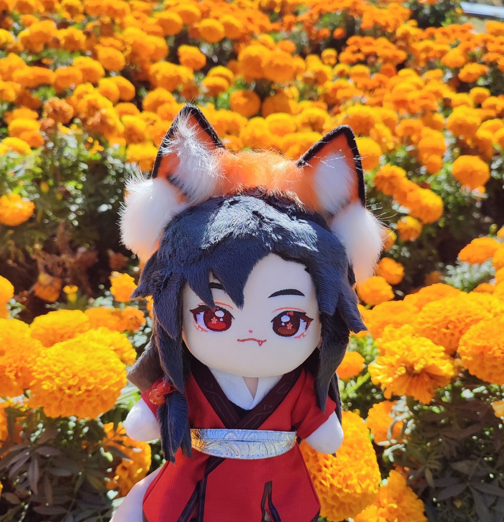 hualian_servant's tweet image. Oh, today is my 2 anniversary on this hualian account on X 🥰
I'm so happy to meet all the cousins and become a part of this big minidoll family 🥰❤️❤️❤️❤️

#tgcf #hualian #anniversary