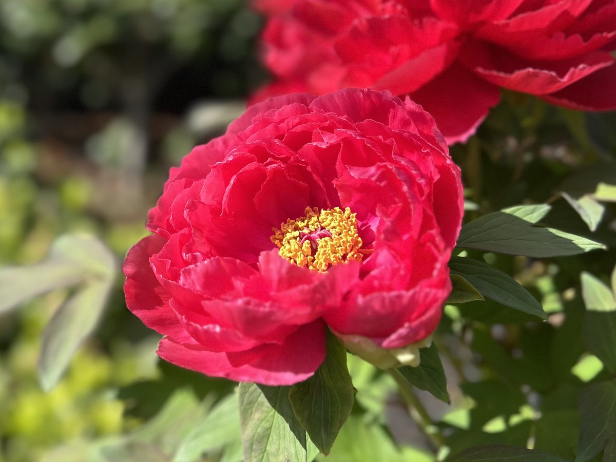 グラングリーン大阪(GRAND GREEN OSAKA)【公式】 tweet media