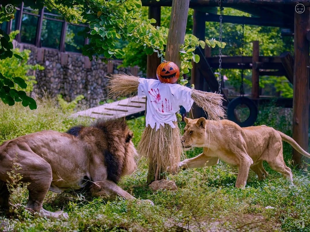 It seems that joy can be found in the simplest of things: a wonderfully satisfying salad is all it takes.
