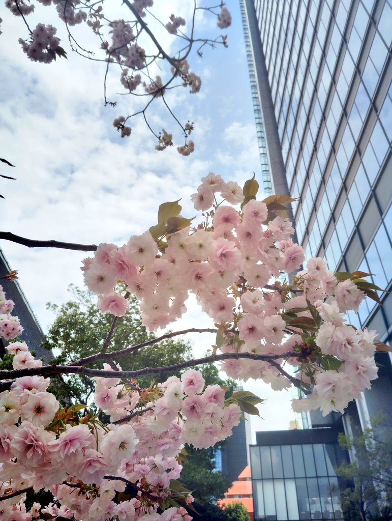 為食猫Youmei🇭🇰広東語(粤拼)学習202311〜 tweet media