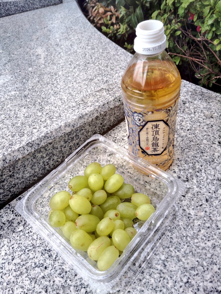 為食猫Youmei🇭🇰広東語(粤拼)学習202311〜 tweet media