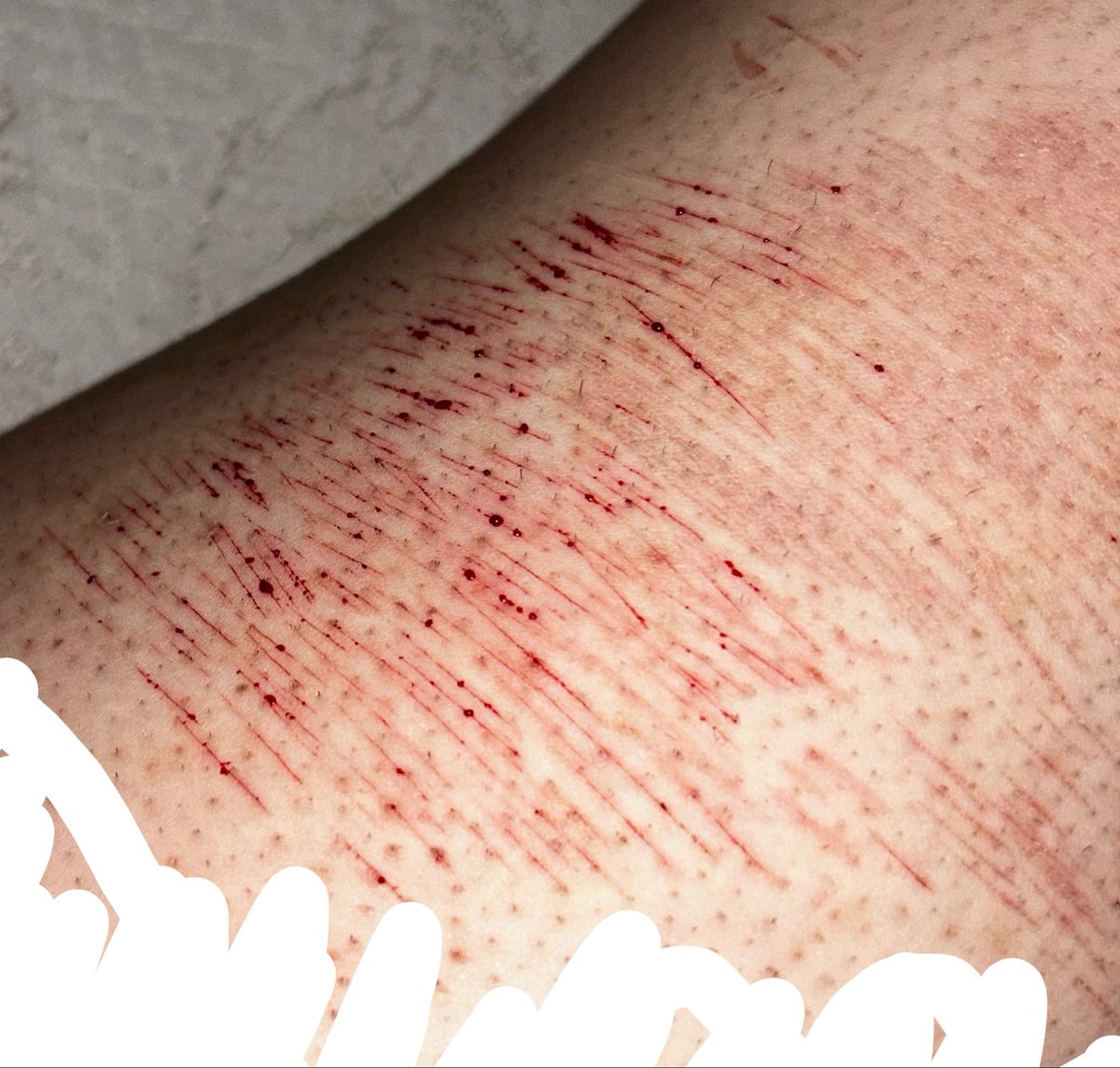 NENE OF SHEDTWT. tweet media