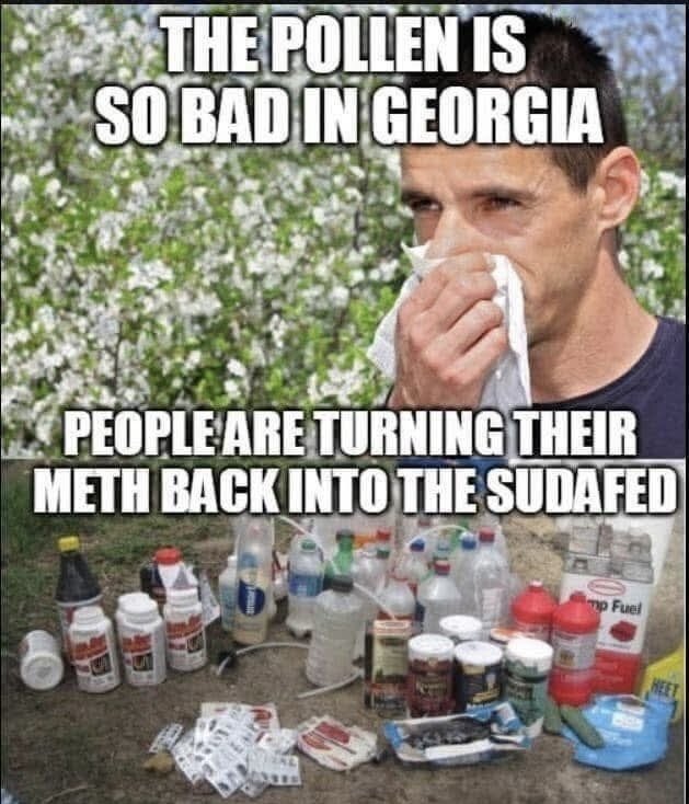 Steve 🇺🇸 tweet media