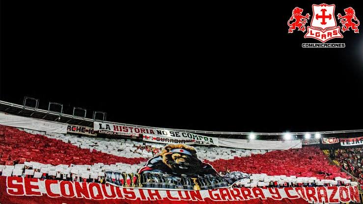 Daniela C tweet media