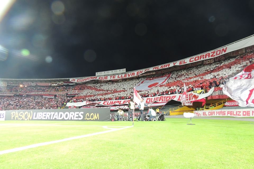 Daniela C tweet media