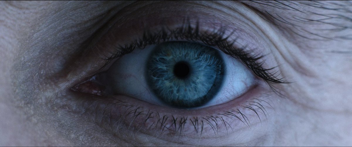 Jake the Band the Show the Movie tweet media