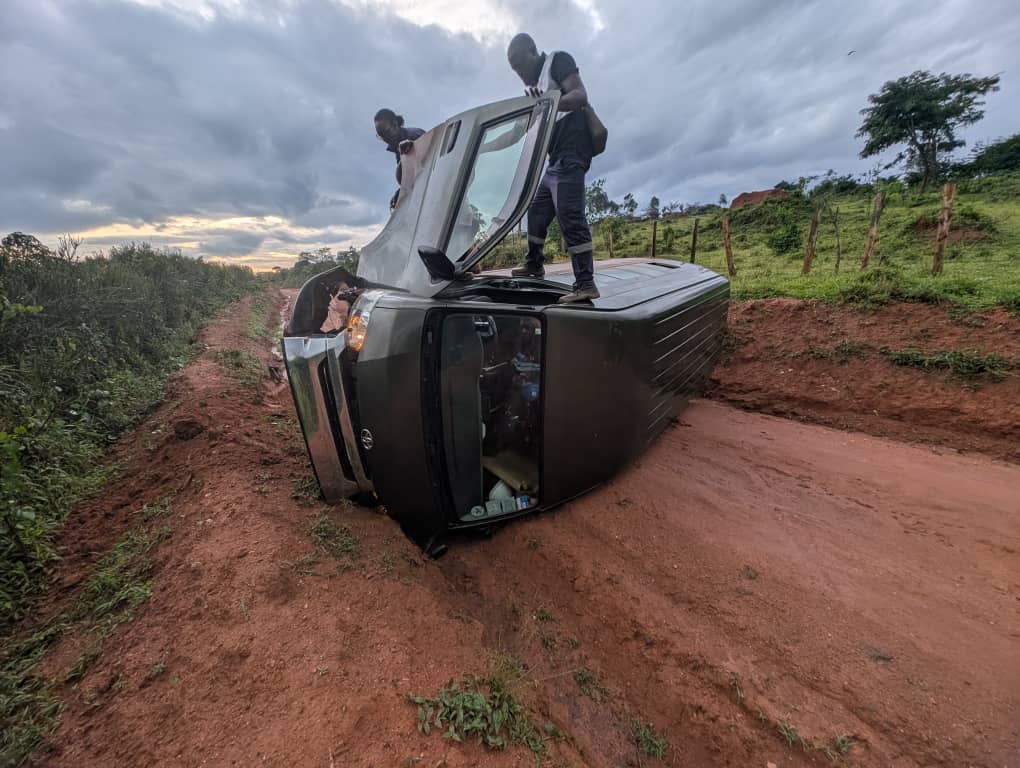 Sheemaz Grain🔥🔥 tweet media