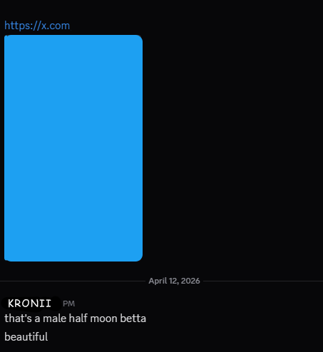 Ouro Kronii⏳holoEN tweet media