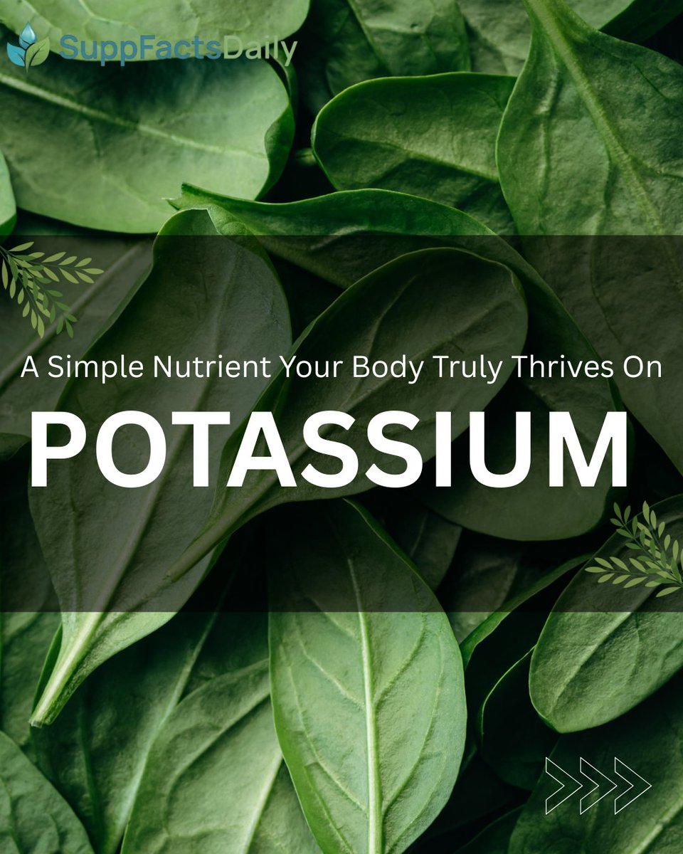 SuppFactsDaily's tweet photo. That random fatigue, muscle cramps, low energy? ⚠️
Not always “just tired.”

Your body could be low on potassium ⚡

Listen before it gets louder. 👀

#Potassium #Health #Nutrition #Wellness #Micronutrients https://t.co/r6vdpZBS2T
