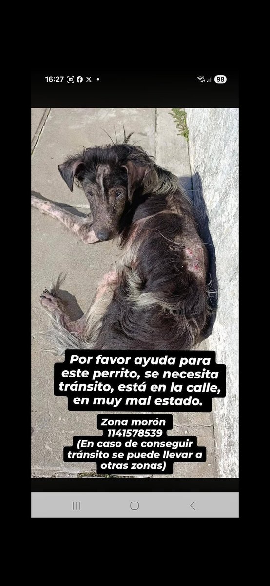 Maria Ines tweet media