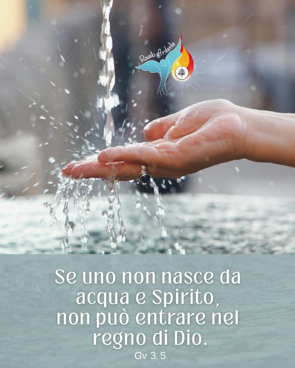 Roveto Ardente tweet media