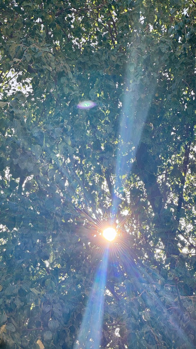 خالد الجابر tweet media