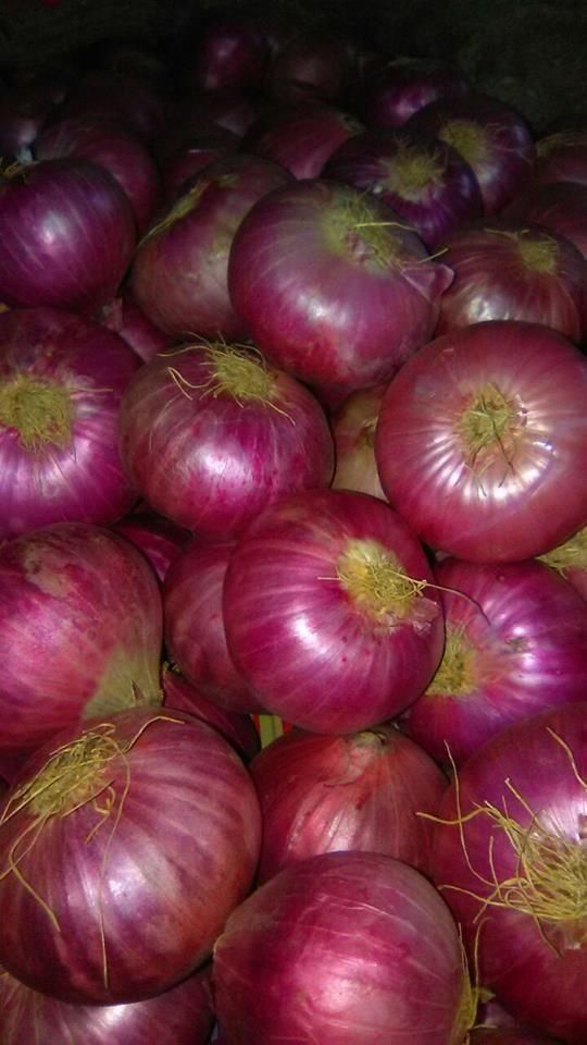 Sweet Nector tweet media