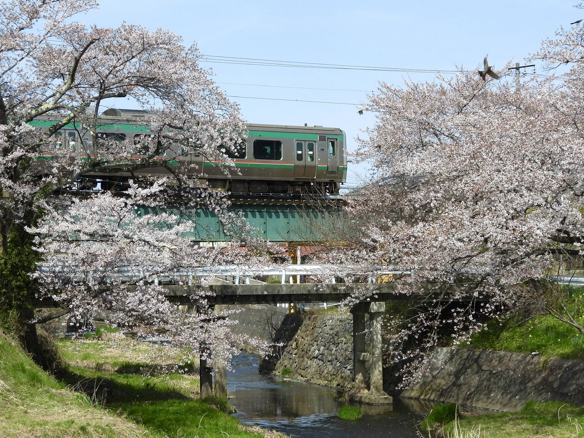 鉄子の部屋🚂 tweet media