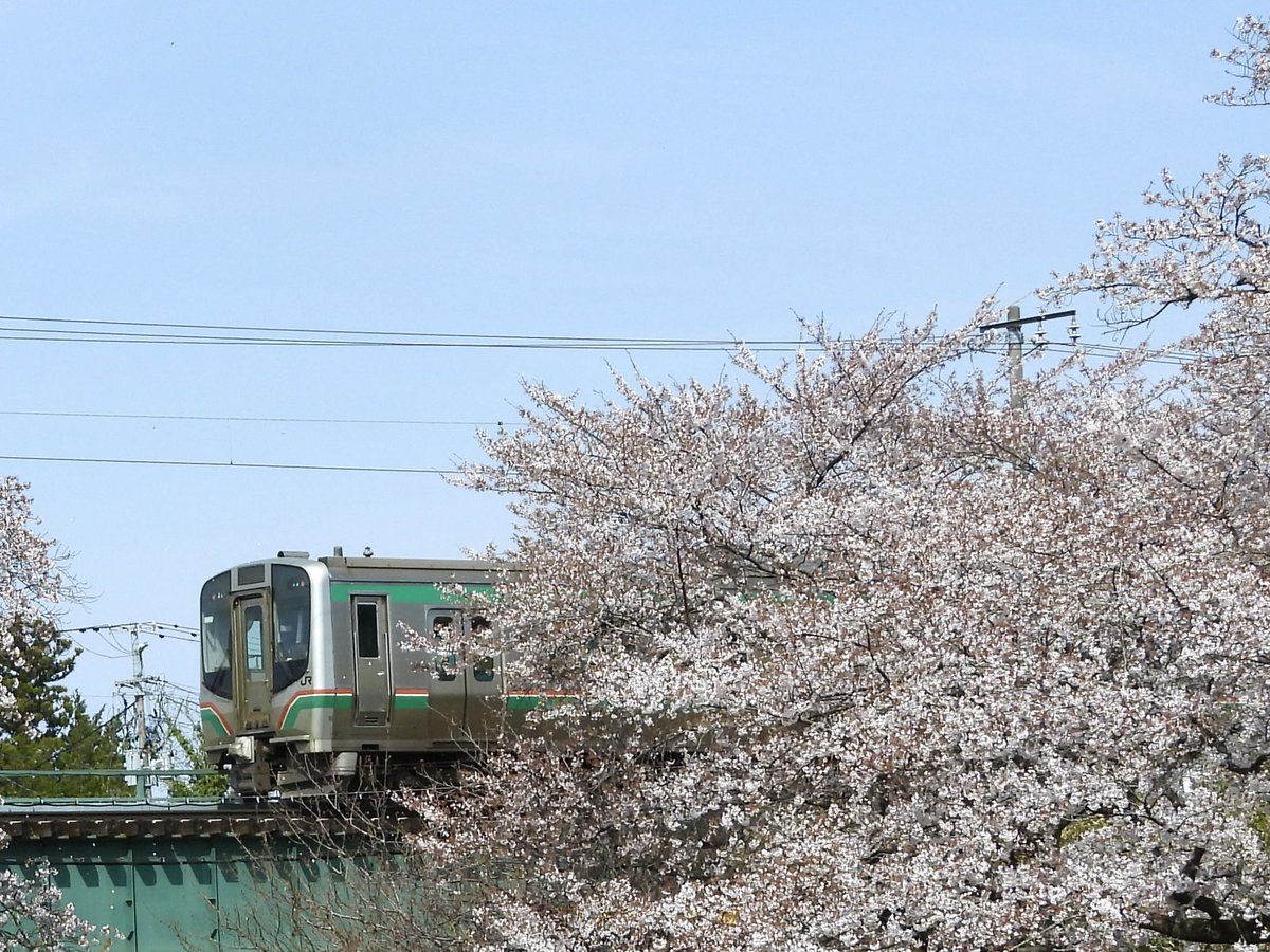 鉄子の部屋🚂 tweet media