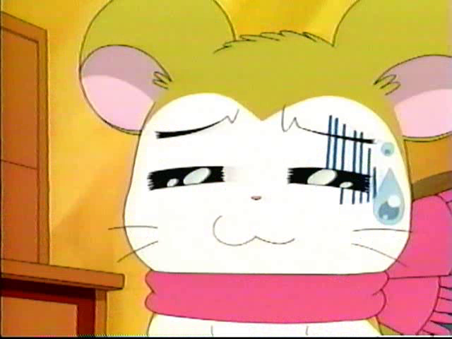 Hamtaro・ハム太郎 tweet media