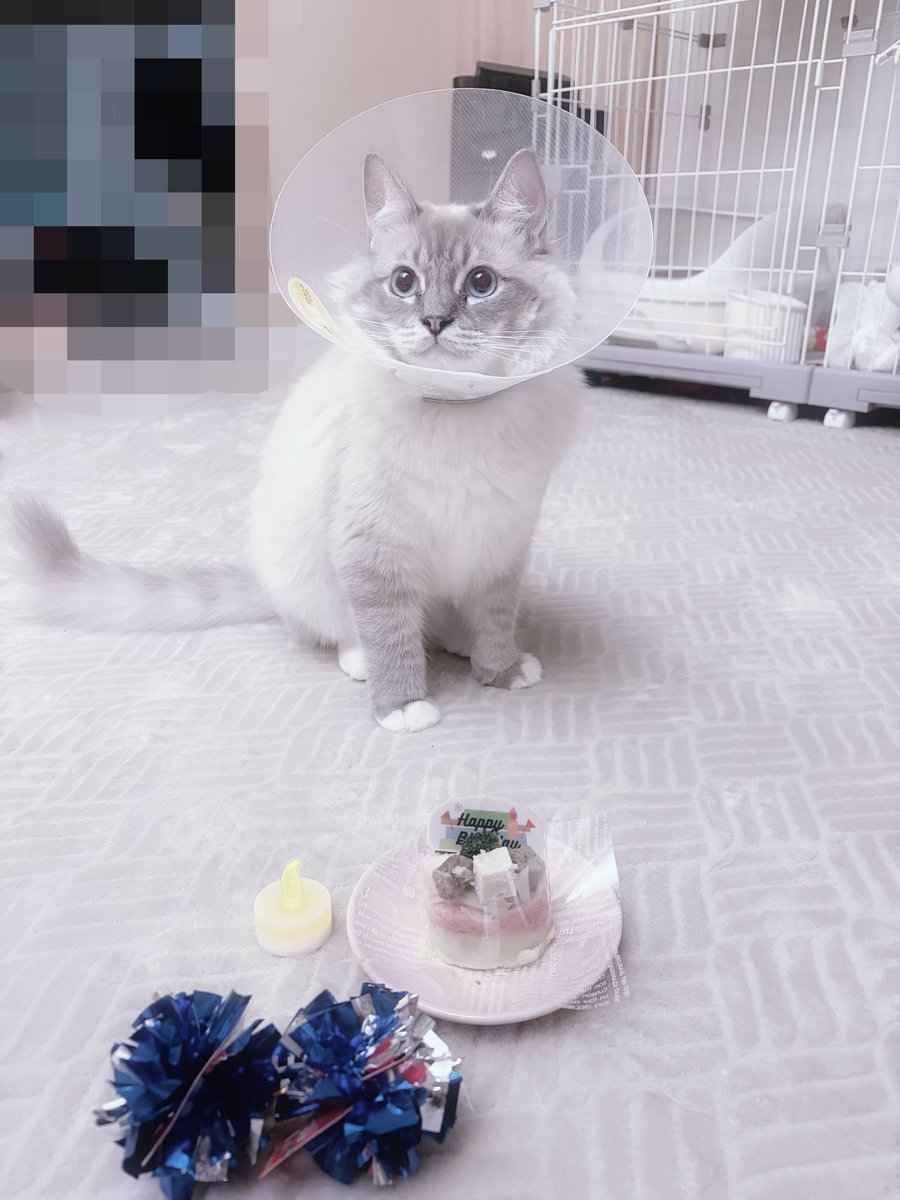 amu@10㌔太りし悲しき𝑴𝒐𝒏𝒔𝒕𝒆𝒓 tweet media