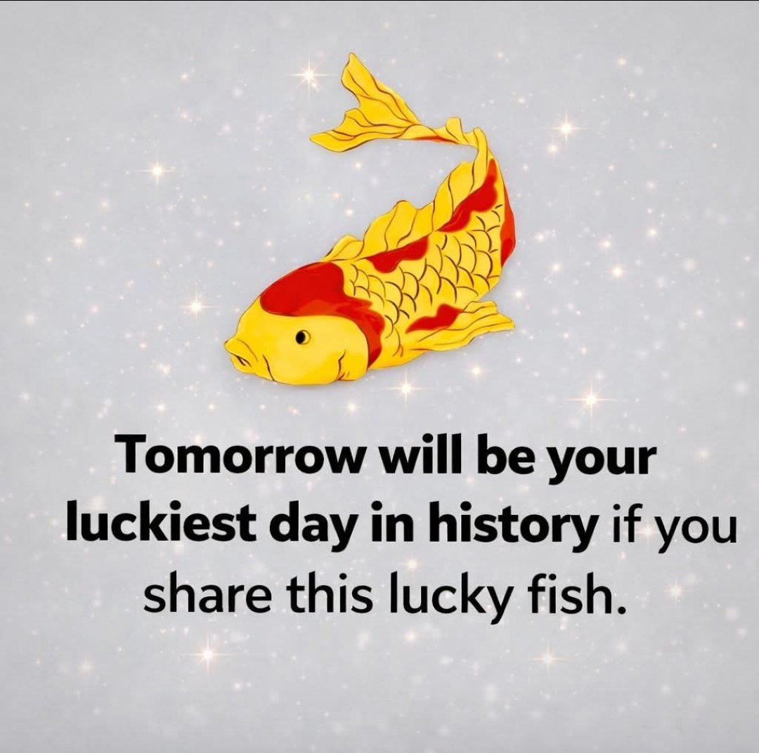 Law_of_attraction tweet media