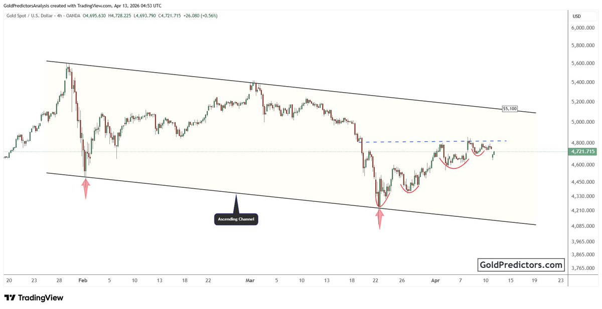 GoldPredictors's tweet image. #Gold is stabilizing after a sharp pullback, with price forming a base inside the channel.

Higher lows are developing while price presses against near-term resistance. A break above this level could trigger the next leg higher.