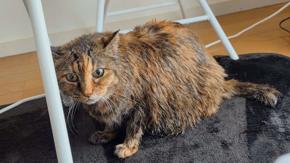 NANA@垢凍●しました tweet media