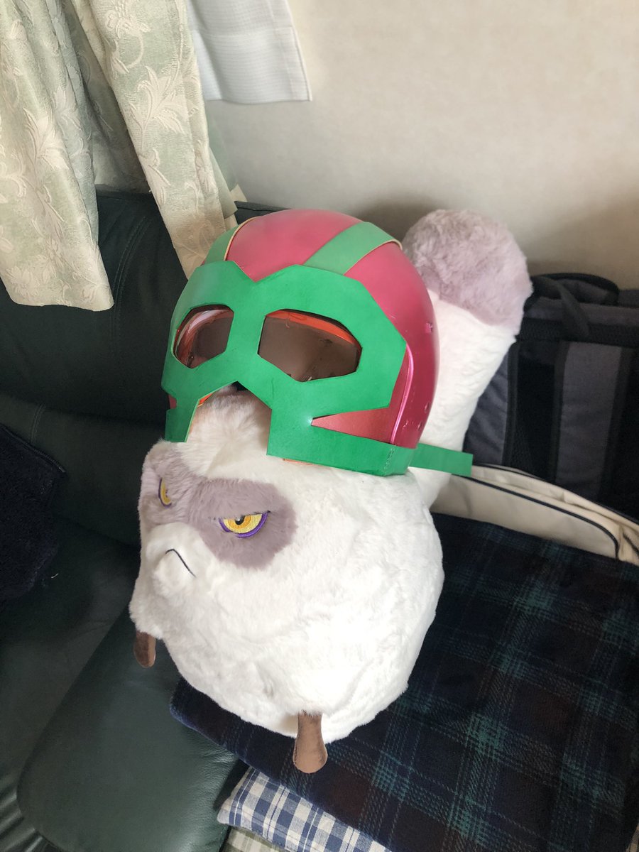 Gouichi6's tweet photo. メットのサイズ合わせ
#なんかイヤがってるw
#ネコの手を貸して欲しい https://t.co/PlS1BIrrSi