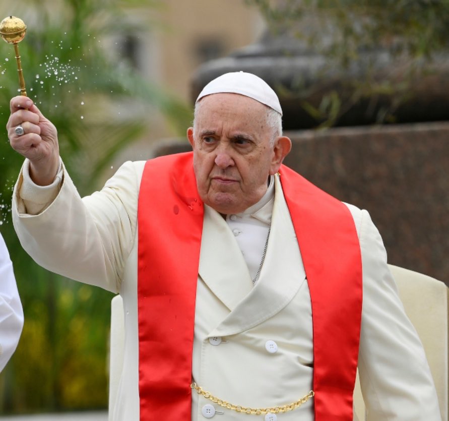 Una mujer cualquiera tweet media