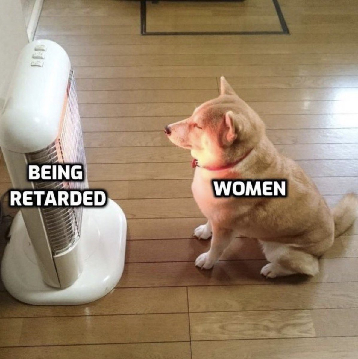 Shadow 💎 tweet media