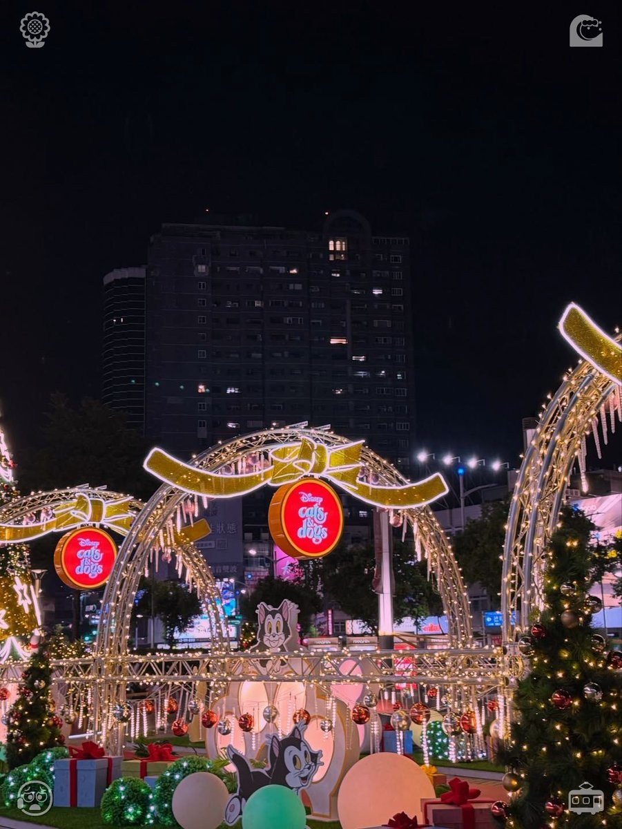 isabella tweet media