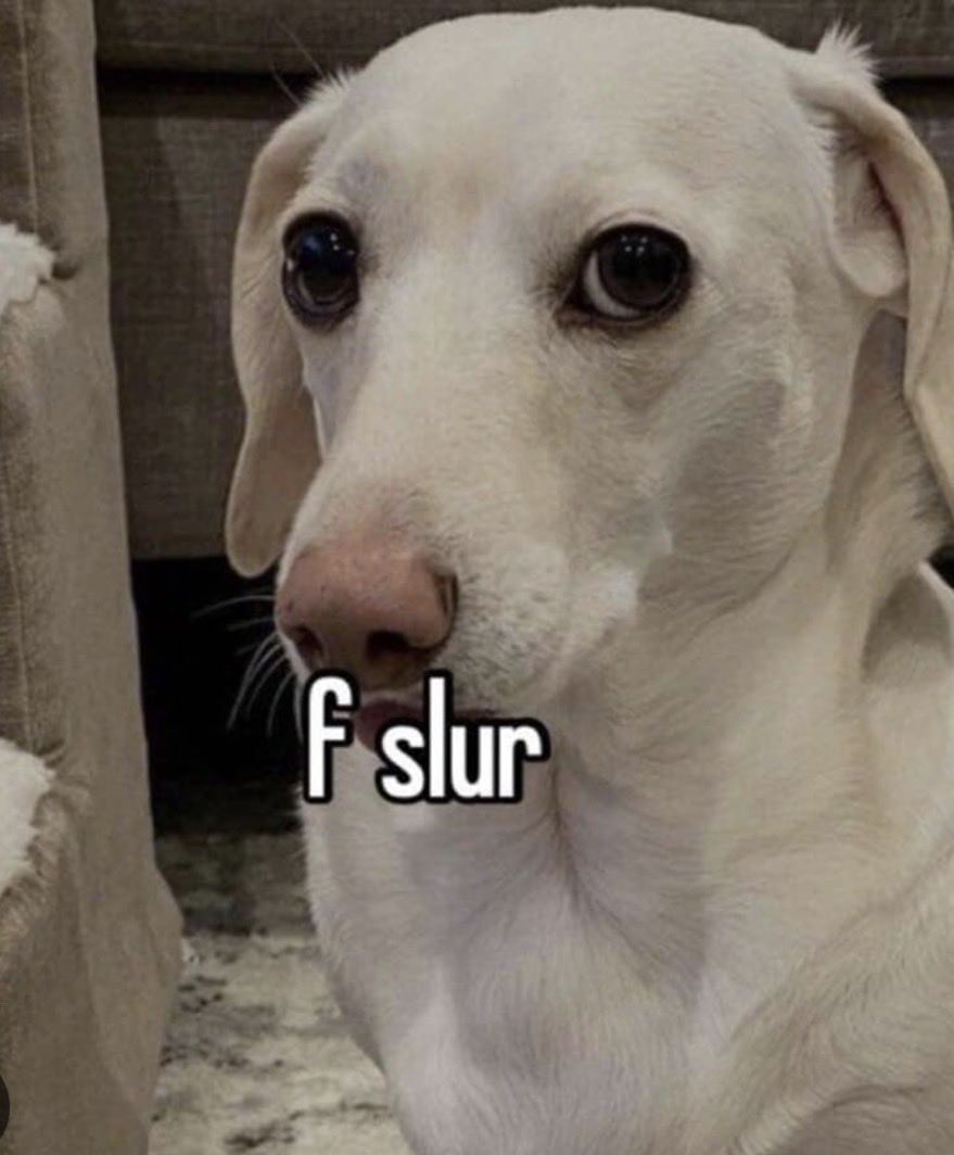 🎉 Em 🎉 tweet media