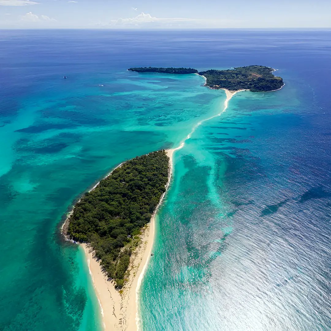 rindra cesar ratsimisata tweet media