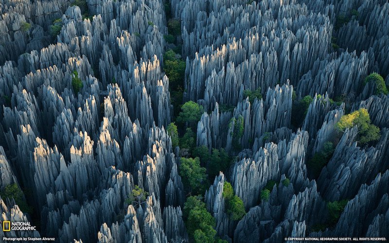 rindra cesar ratsimisata tweet media