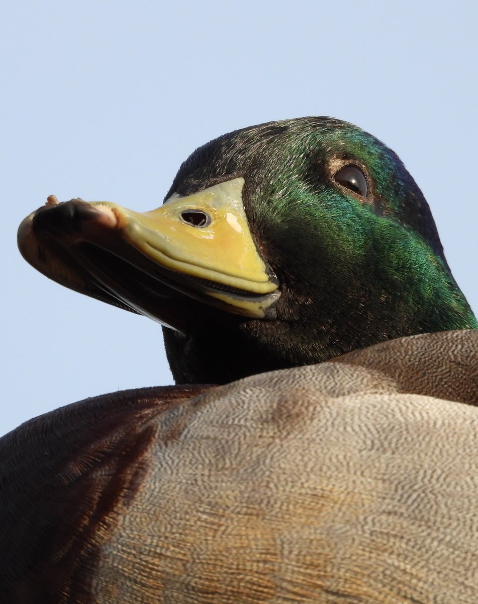 Bwarropics tweet media