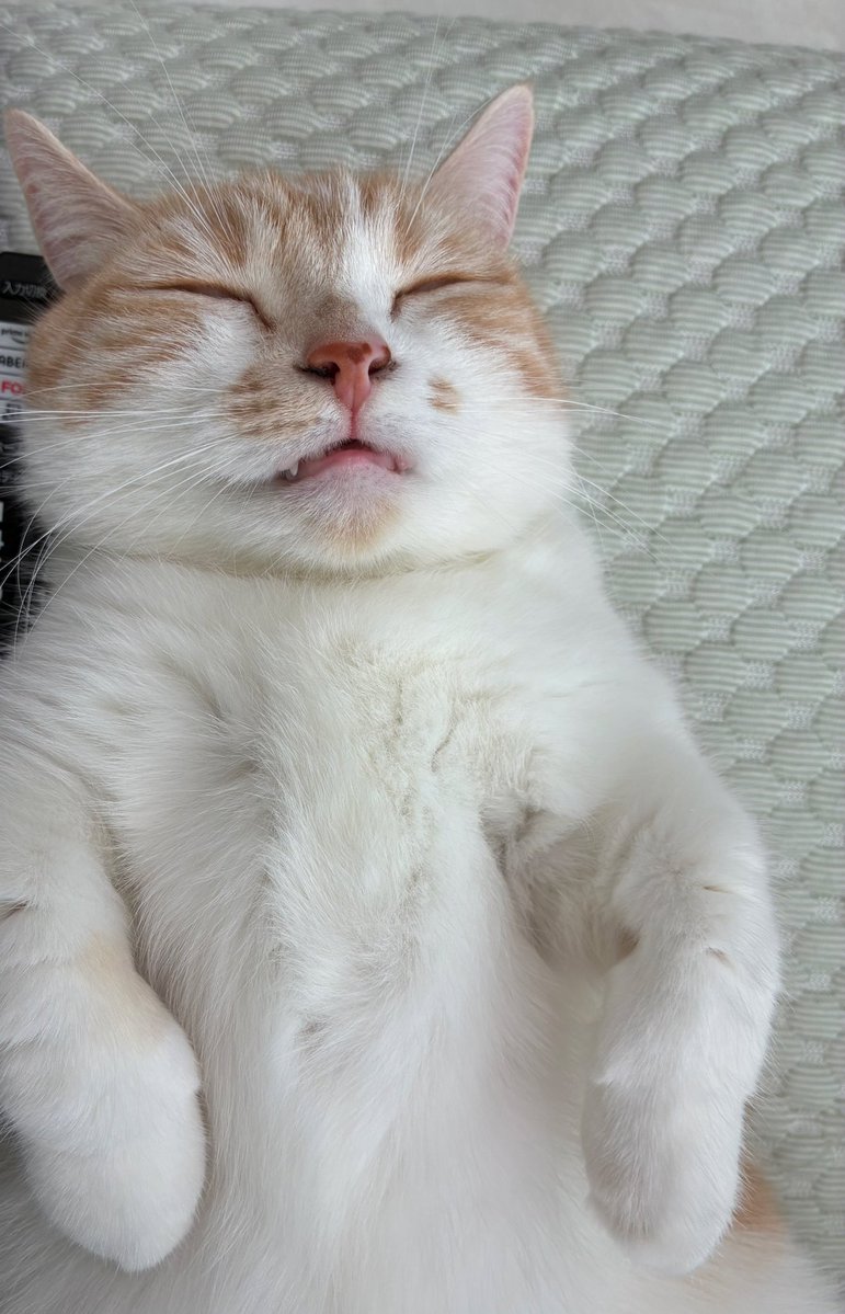 おらふくん☃️ tweet media