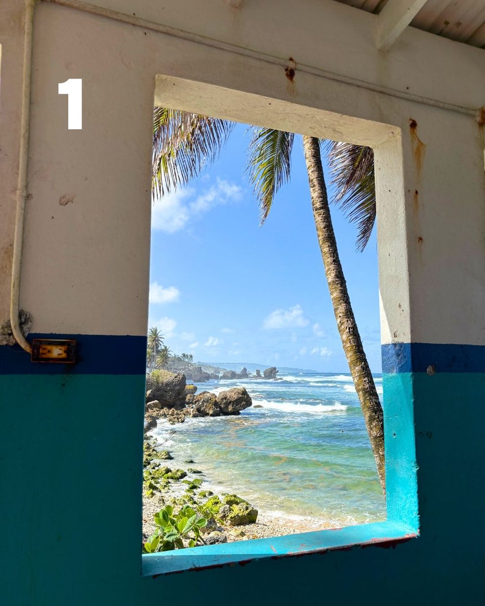 jacks_flights's tweet image. Can you guess where each member is? (Scroll down for the answers👇)

1. Barbados
2. El Salvador
3. Kenya

#travel #windowview #traveltips #cheapflights