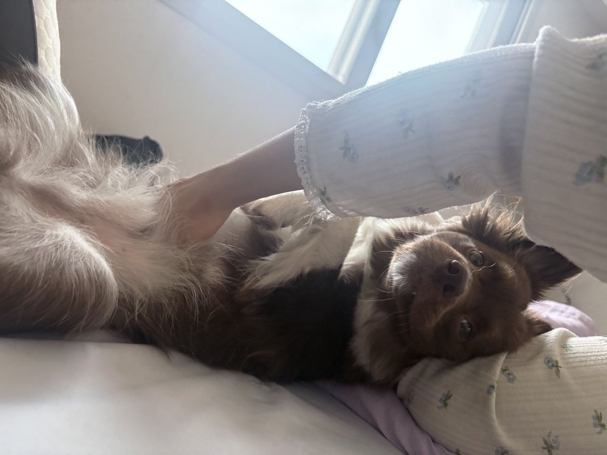 밤팅이.. tweet media