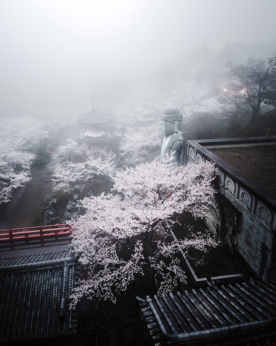 東京カメラ部 tweet media