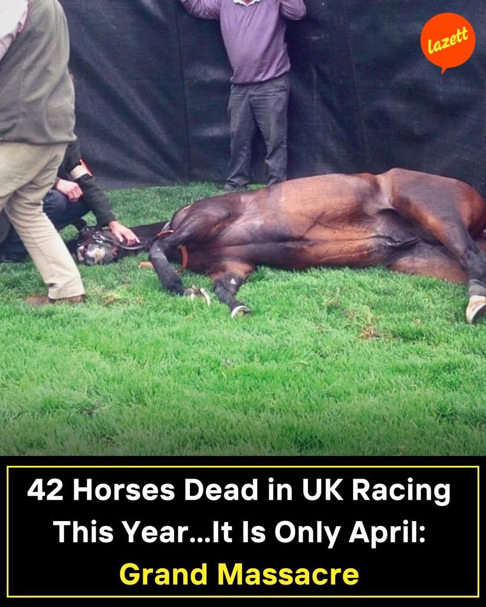 dominic dyer tweet media