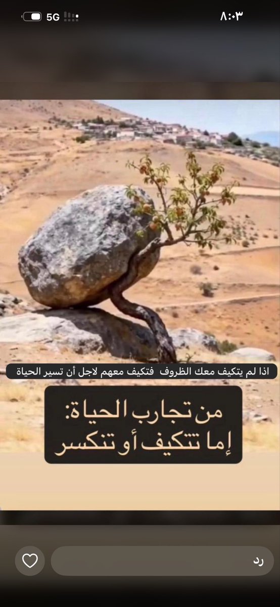 mobaa4333's tweet photo. https://t.co/DQffb9xMUu