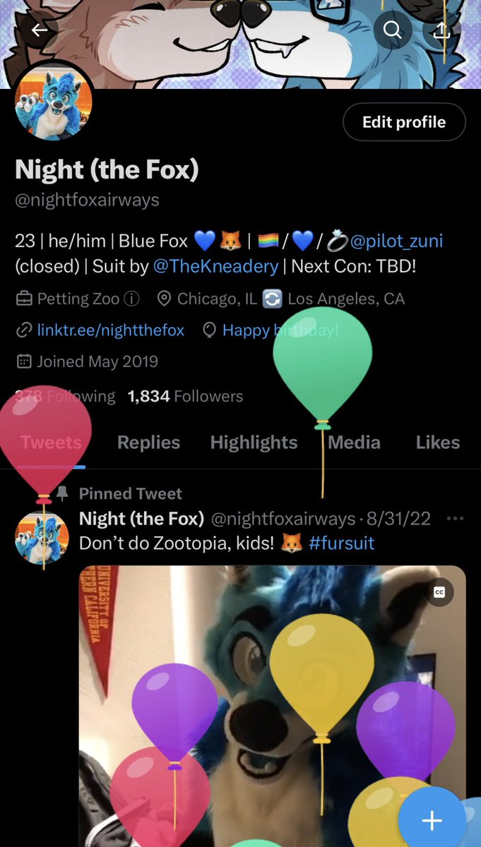 Night (the Fox) tweet media