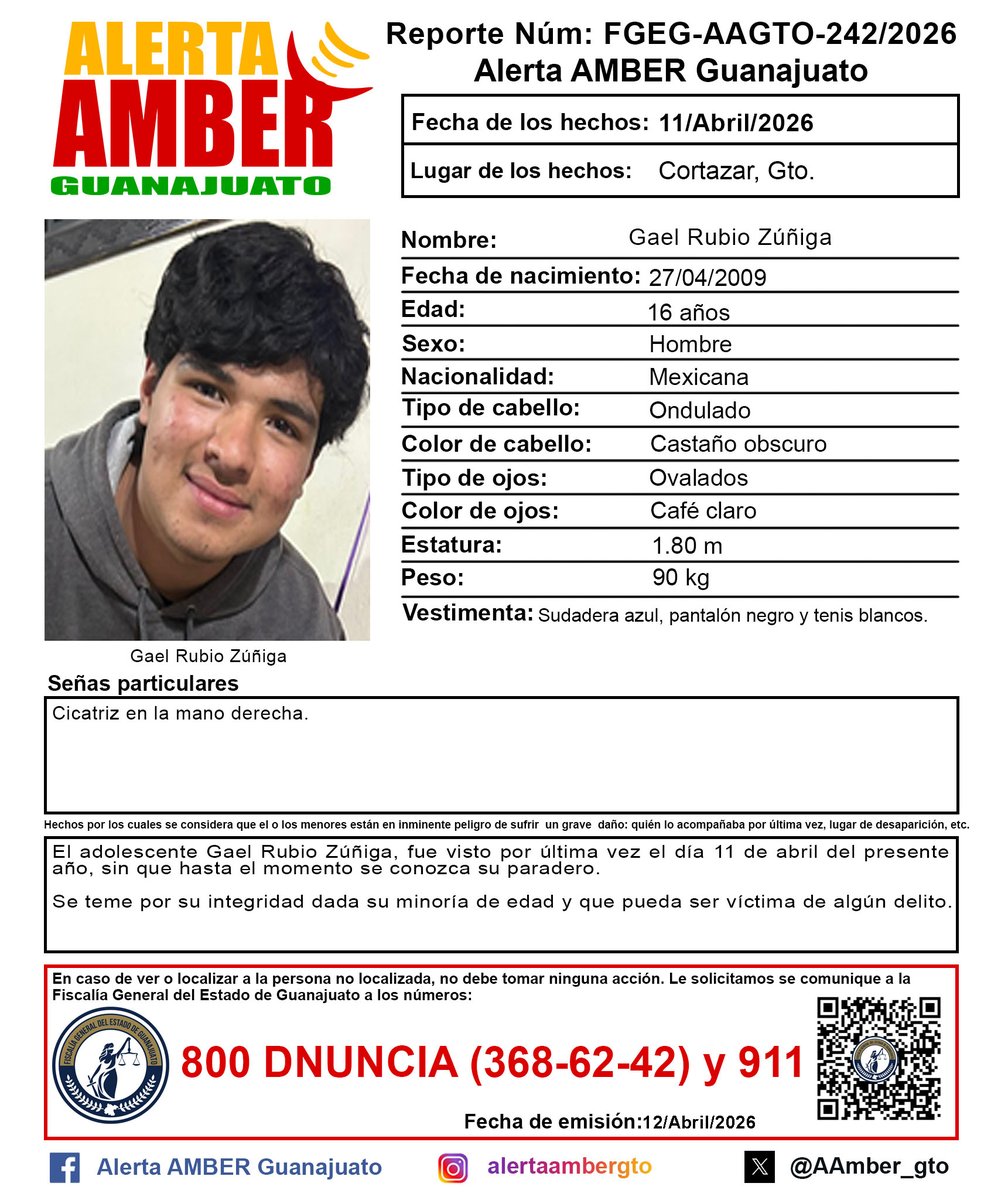 Alerta AMBER GTO. tweet media