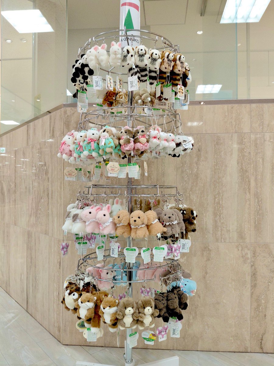 TAKENOKO_kawaii's tweet photo. ＼うれしいお知らせ🧸🎀／

たけのこのぬいぐるみを、
お取り扱いいただける店舗様が増えました✨

【常設店舗】
◇そごう千葉店　本館6階玩具売場
◇そごう大宮店　5階玩具売場
◇近鉄百貨店あべのハルカス近鉄本店
　ウイング館 8階For kids' byこぐま
◇ジェイアール京都伊勢丹店　
　7階玩具売場

◇山形屋鹿児島店　2号館5階玩具売場
※ぬいぐるみPOPUP期間2026年4月9日(木)〜5月11日(月)は《特設会場》にて、ぬいぐるみを展開しております。

直接お顔を見て選んでいただける場所が増えて、とっても嬉しいです☺️
ぜひお気に入りの子を見つけてあげてください🧸🌼

※在庫状況は随時変動いたしますので予めご了承ください。
また、写真は一部展開店舗の写真となります。

#そごう千葉店
#そごう大宮店
#近鉄百貨店あべのハルカス近鉄本店
#ジェイアール京都伊勢丹店
#山形屋鹿児島店

#株式会社たけのこ
#ジョイフルメイト
#ぬいぐるみ