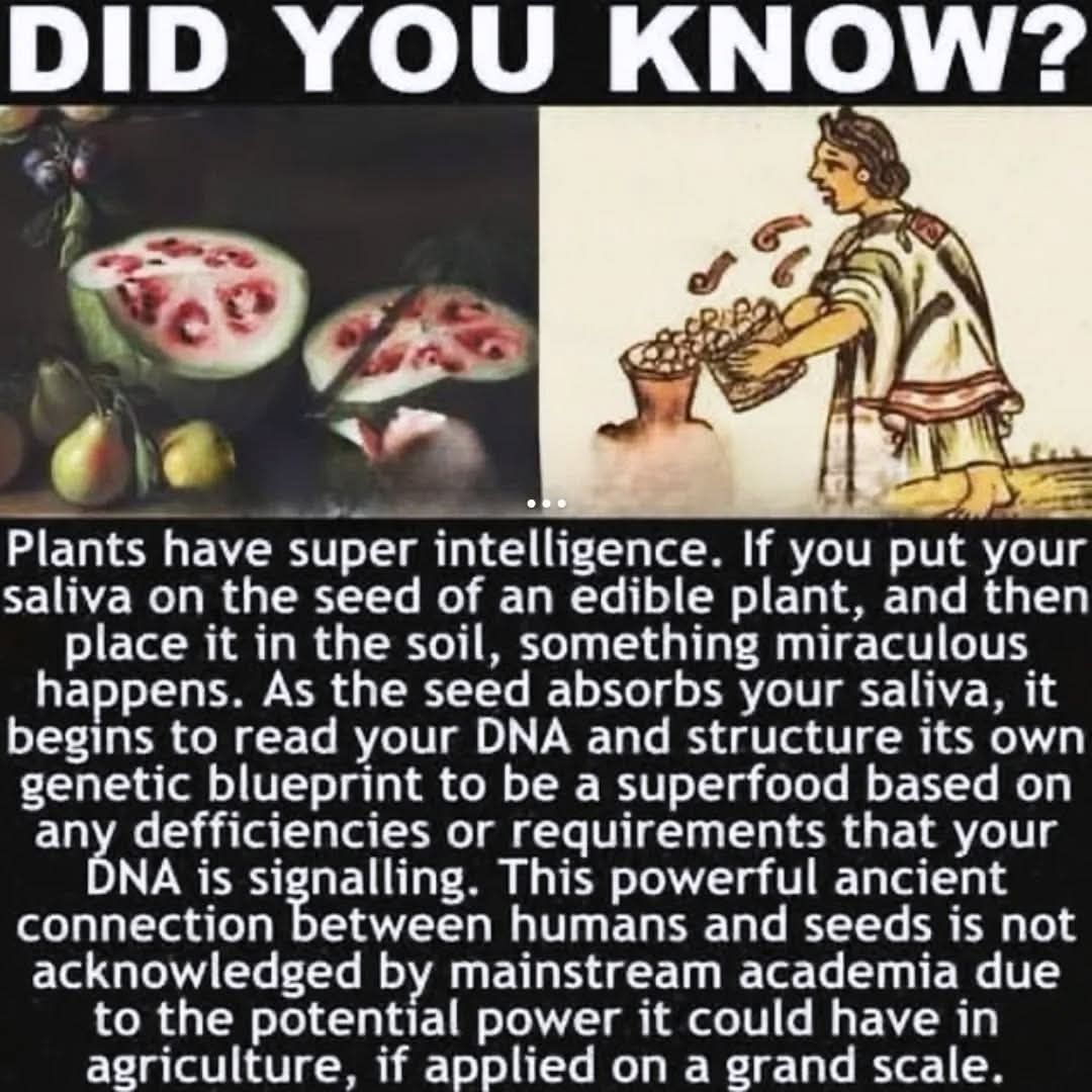 OrganicLiveFood's tweet image. 