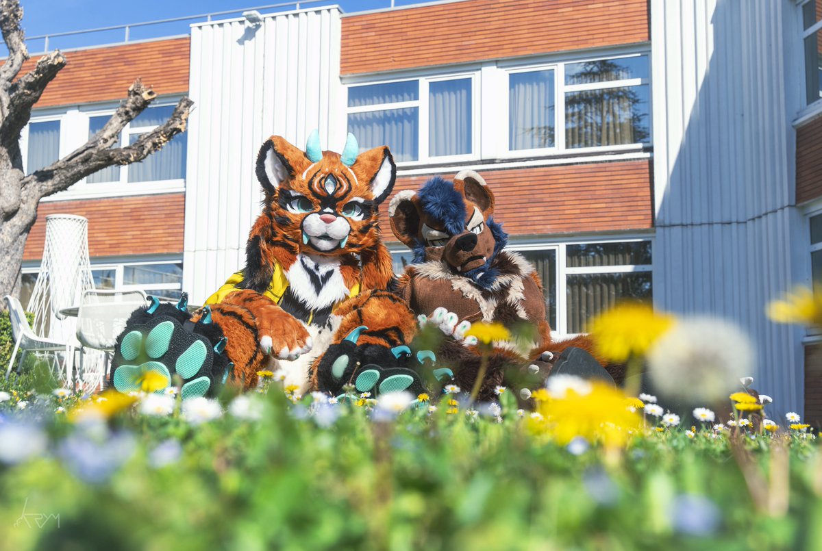 AoraCrea's tweet photo. Good monday ! 

And take a Time for chilling 🌼☘️☀️

🐻 : @RuniNox 
📸 : @Krymson_K 

#Fauntastic6 #fursuit #furry https://t.co/7MSMAhWQi5
