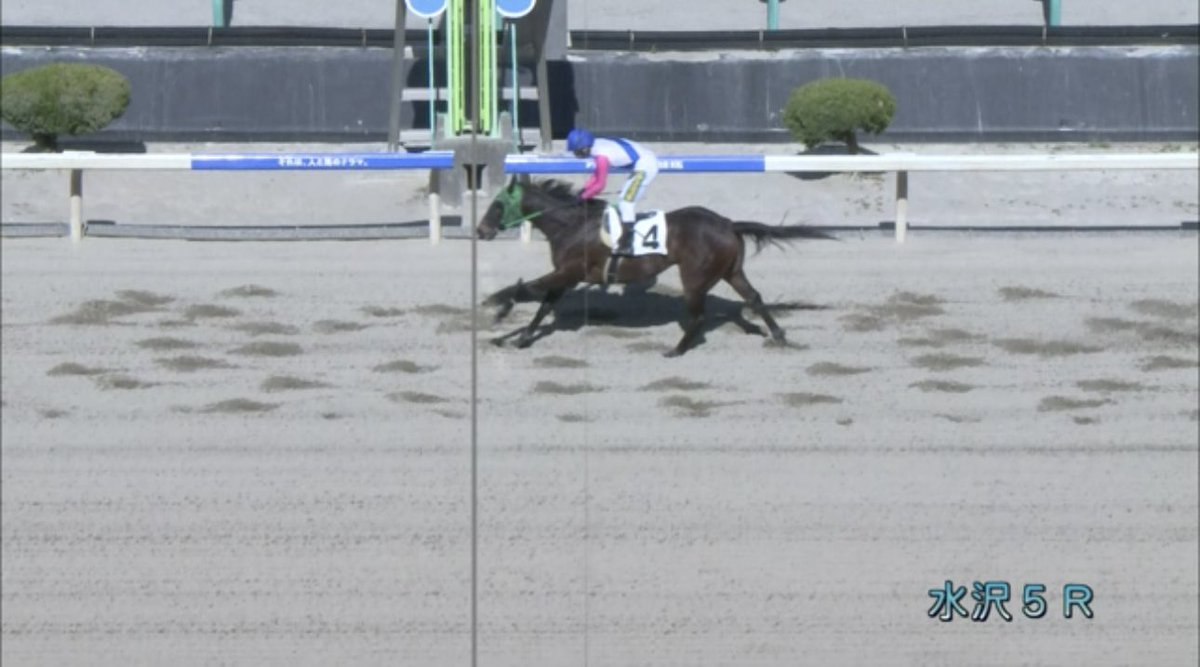 やっくす(一口馬主) tweet media