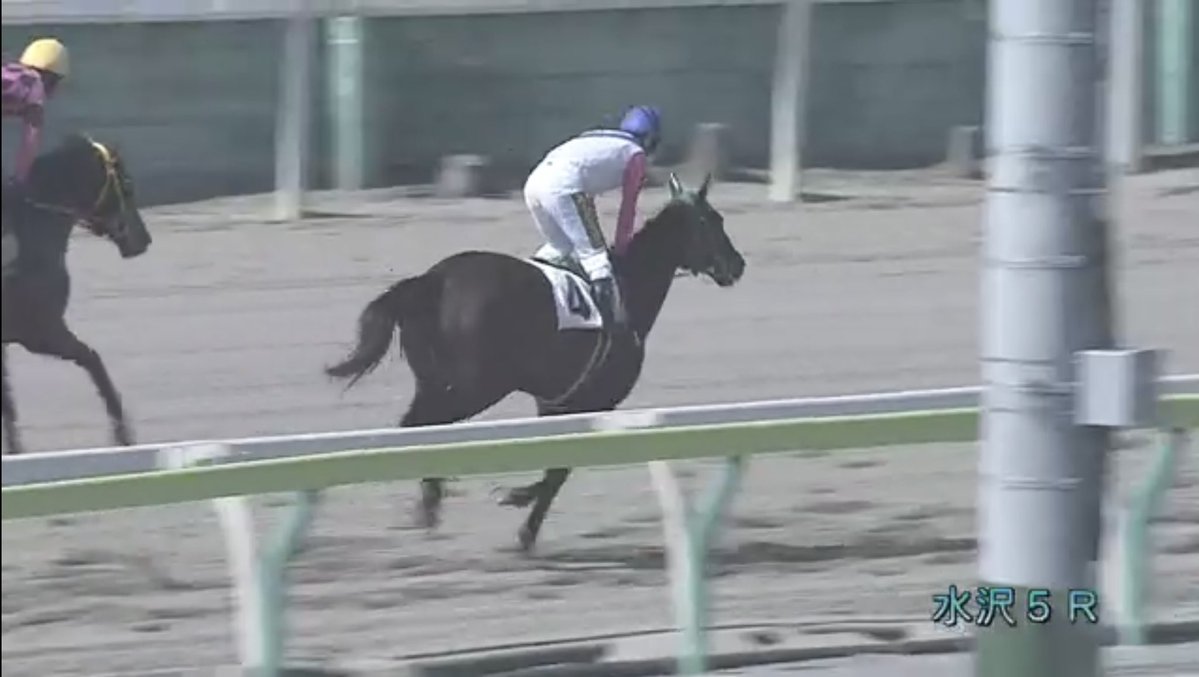 やっくす(一口馬主) tweet media