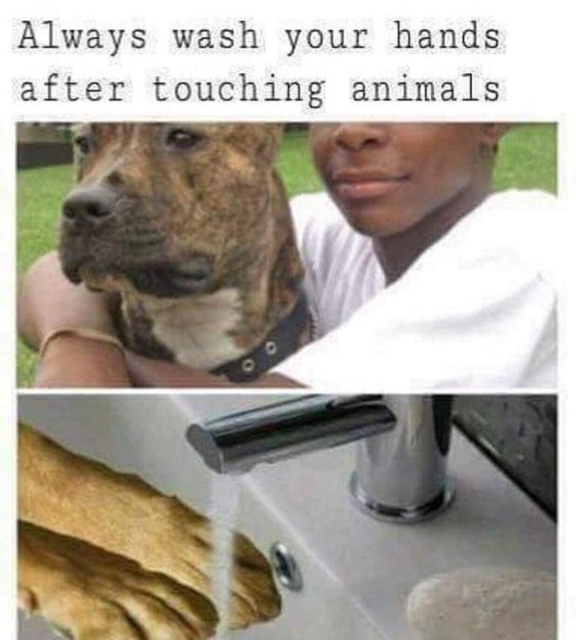 shitpostguy9000 tweet media