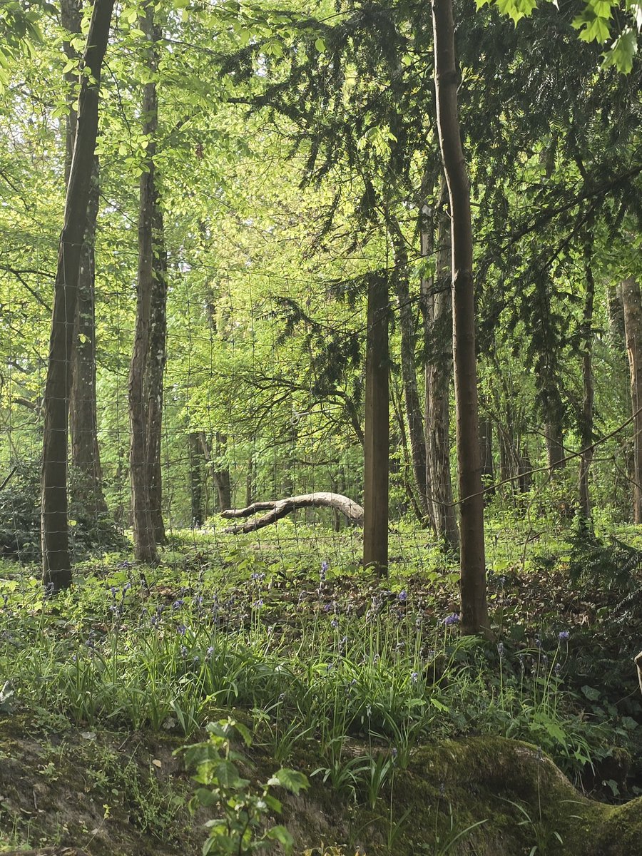 Enna Siala tweet media