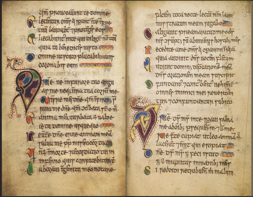 This wee illuminated book, the 