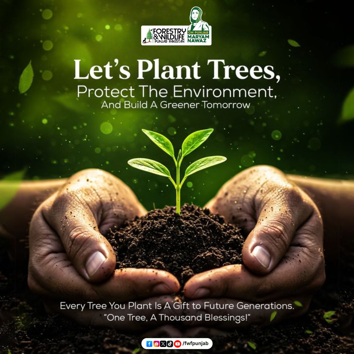 fwfpunjabpk's tweet image. Let's lant Trees
Protect the Enivronment and build a greener tomorrow.
.
.
.
#punjabforests #plantatree #plantation #fwfpunjab #GovtOfPunjab